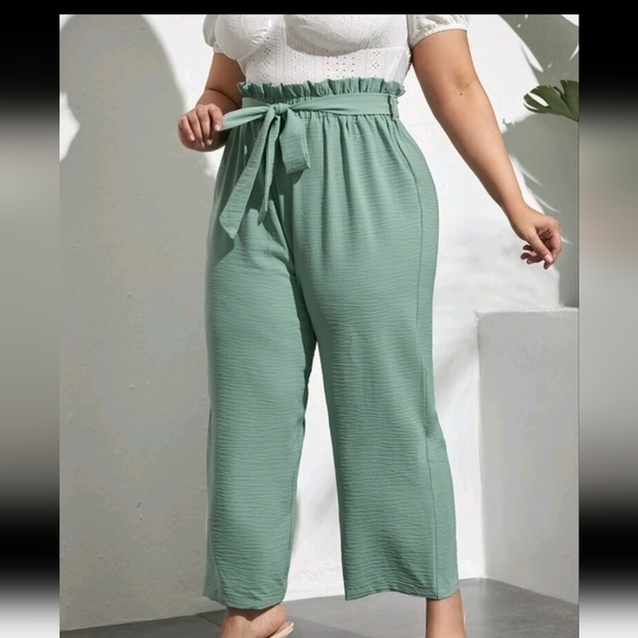 Plus Paperbag Waist Belted Pants - Picture 4 of 5